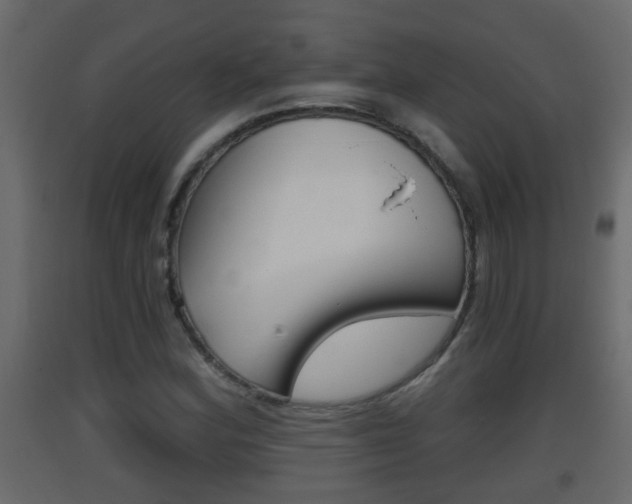 X0000093381164200710111341