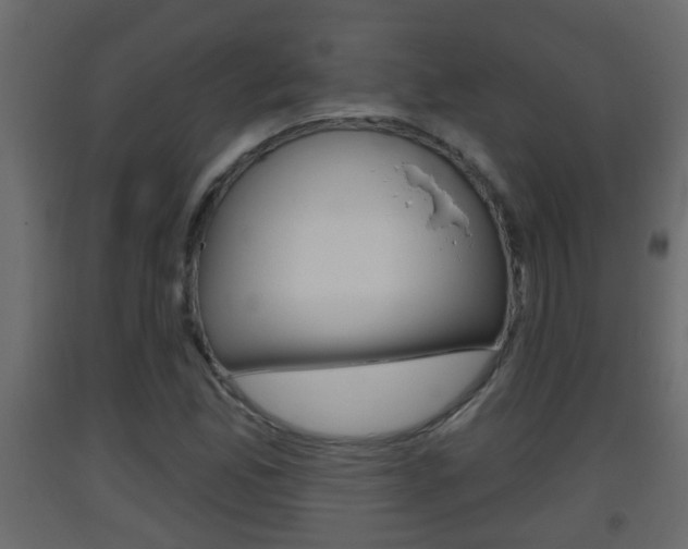 X0000093381165200710111341