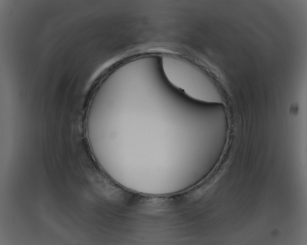 X0000093381166200710111341