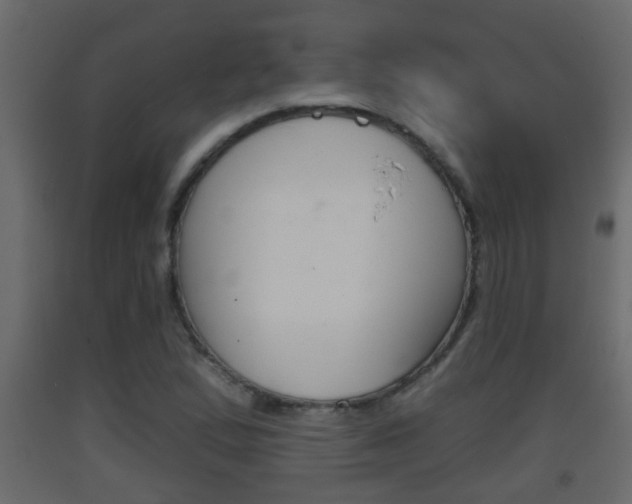 X0000093381167200710111341