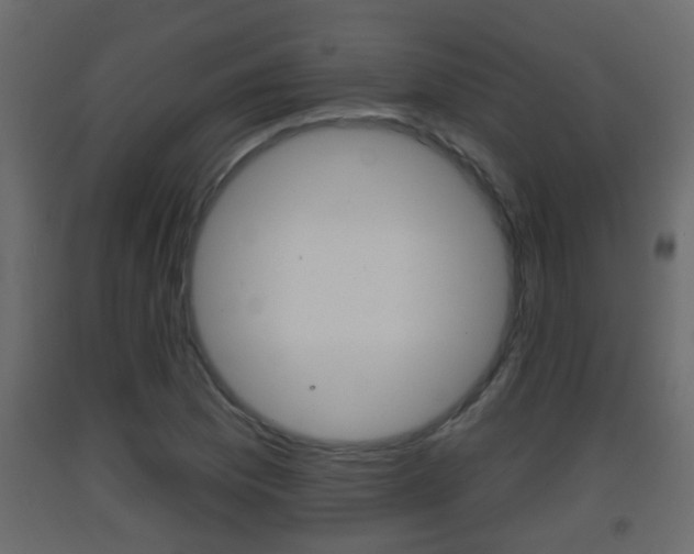 X0000093381169200710111341