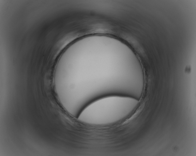 X0000093381170200710111341