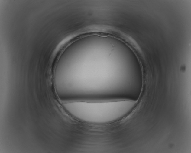 X0000093381172200710111341