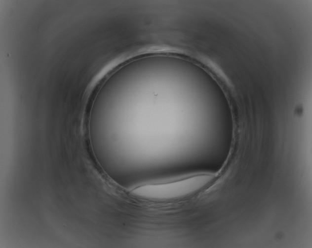 X0000093381173200710111341