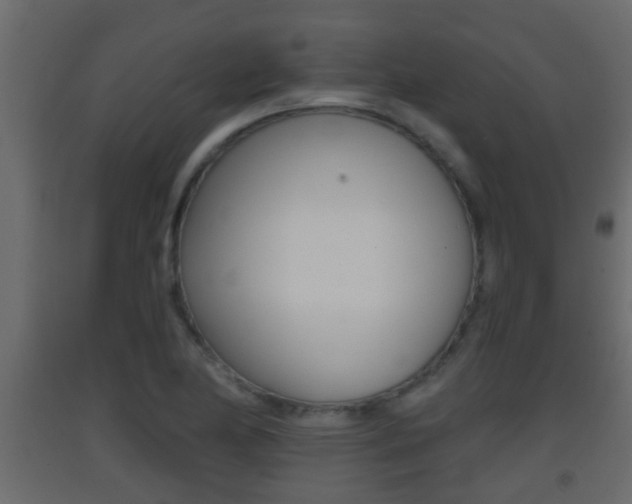 X0000093381174200710111341
