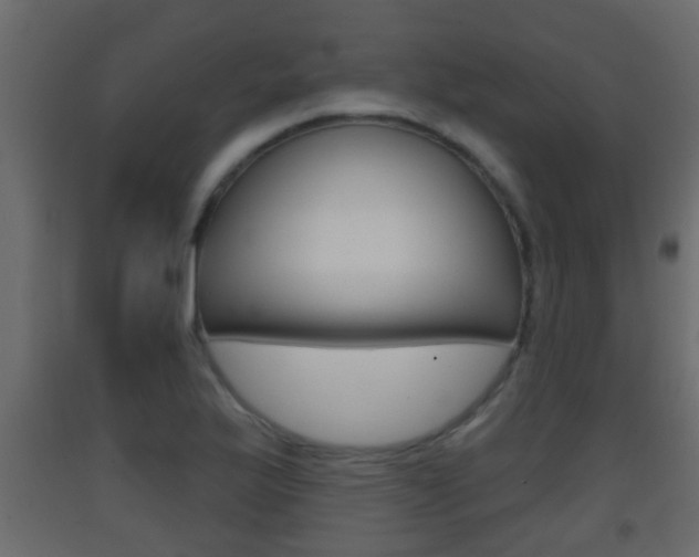 X0000093381175200710111341