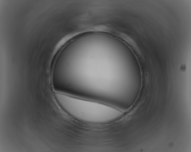 X0000093381176200710111341