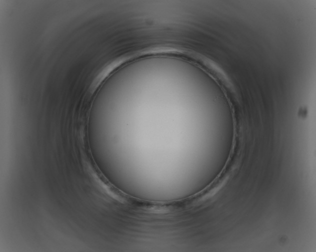 X0000093381177200710111341