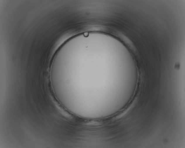 X0000093381178200710111341