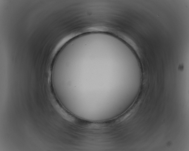 X0000093381179200710111341