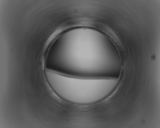 X0000093381180200710111341