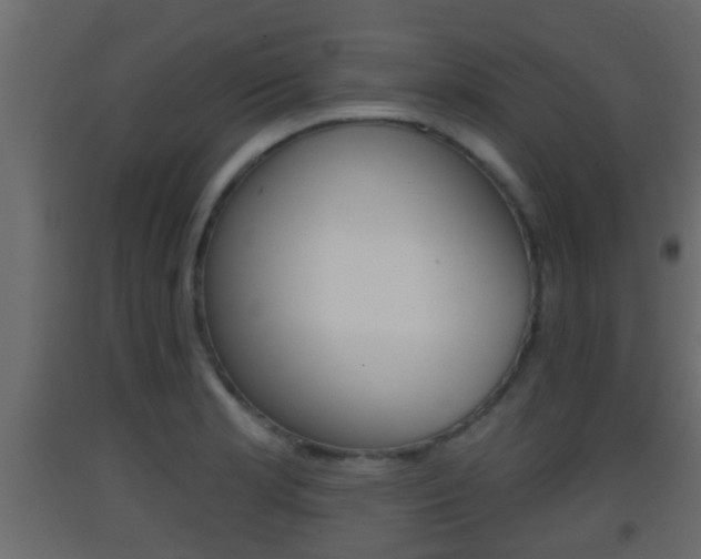 X0000093381181200710111341