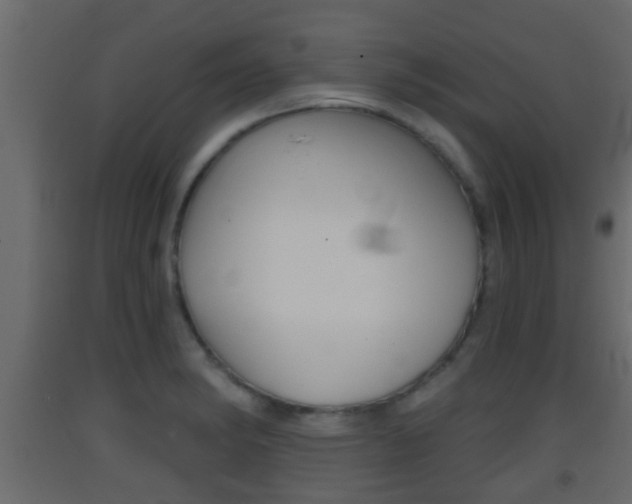 X0000093381182200710111341