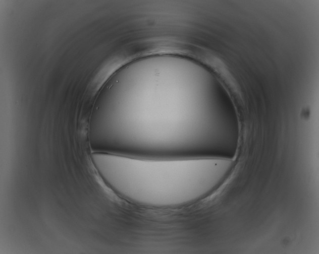 X0000093381185200710111341