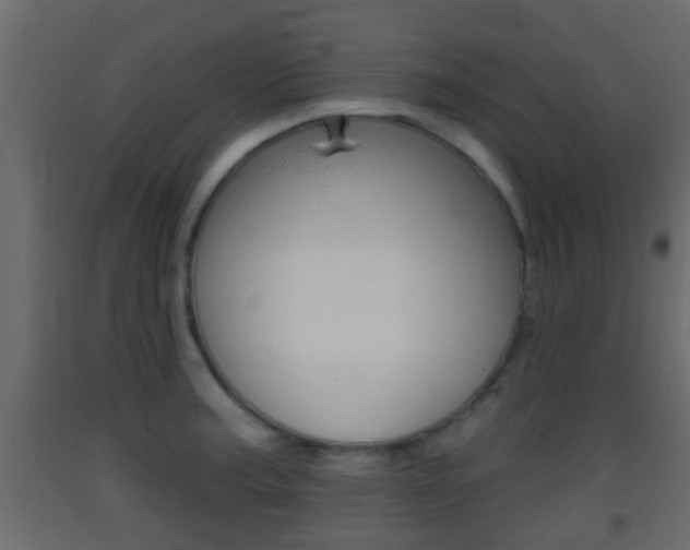 X0000093381187200710111341