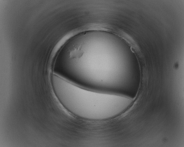 X0000093381188200710111341