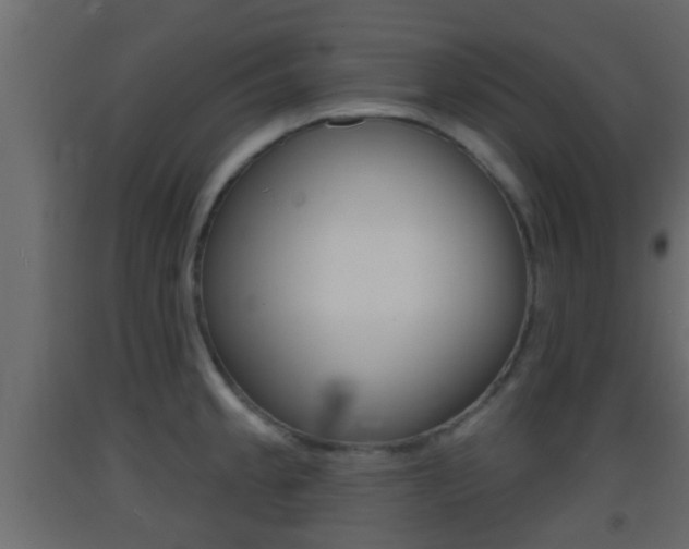 X0000093381189200710111341