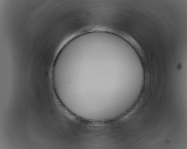 X0000093381190200710111341