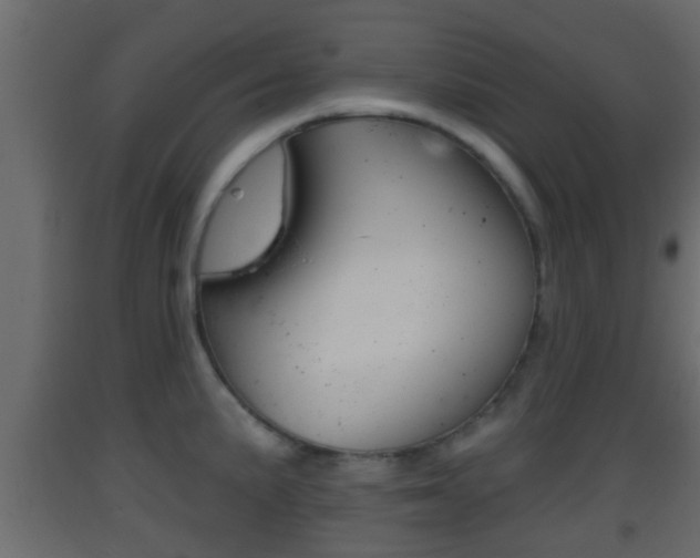 X0000093381191200710111341
