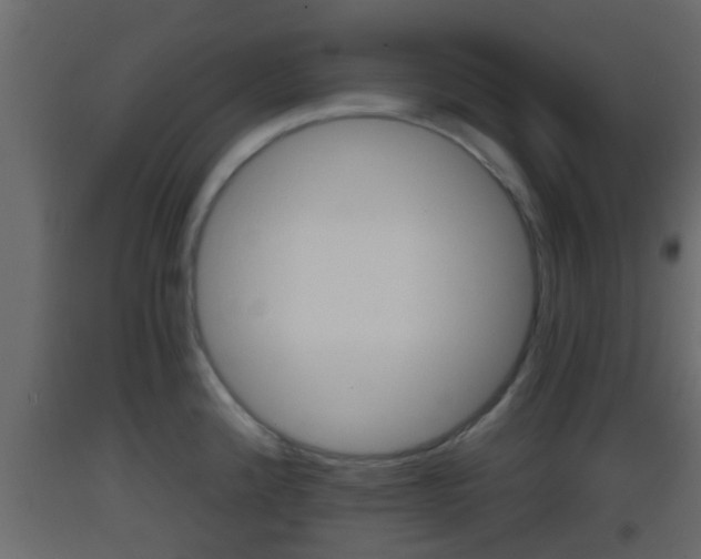 X0000093381192200710111341