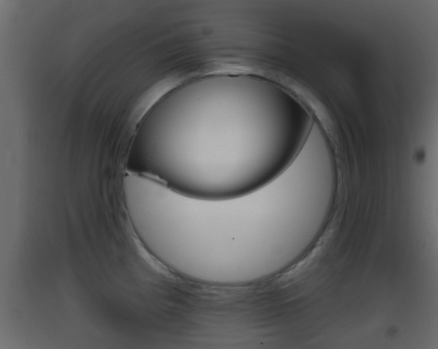 X0000093381193200710111341
