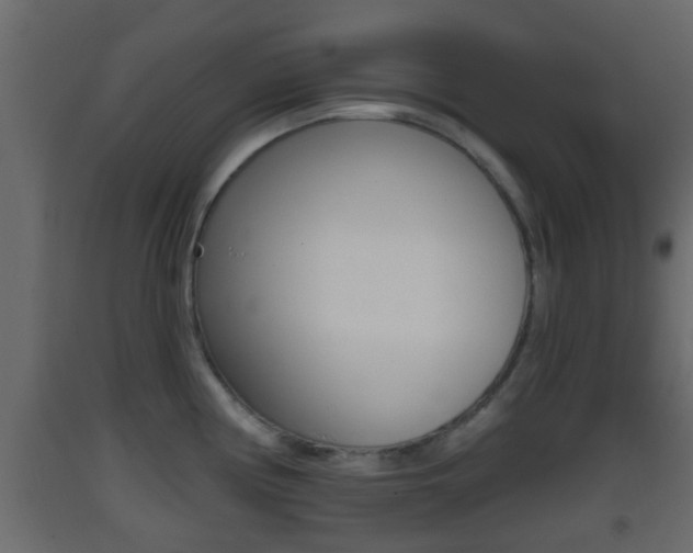 X0000093381194200710111341