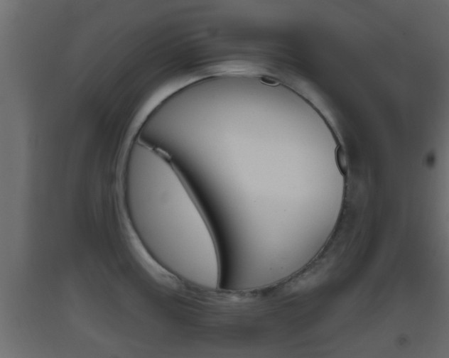 X0000093381195200710111341