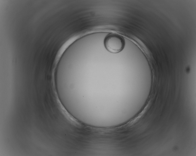 X0000093381196200710111341