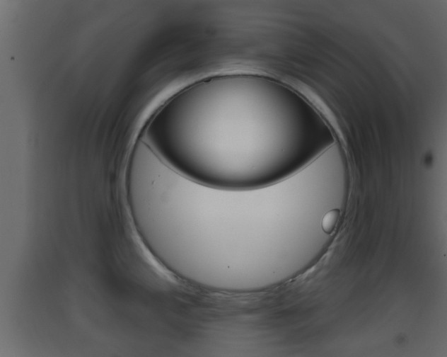 X0000093381197200710111341