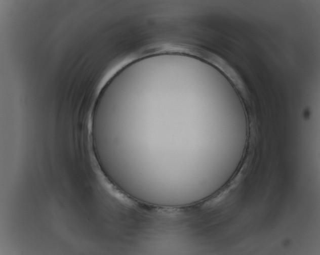 X0000093381198200710111341