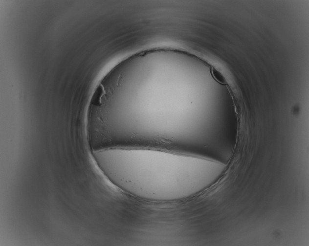 X0000093381199200710111341