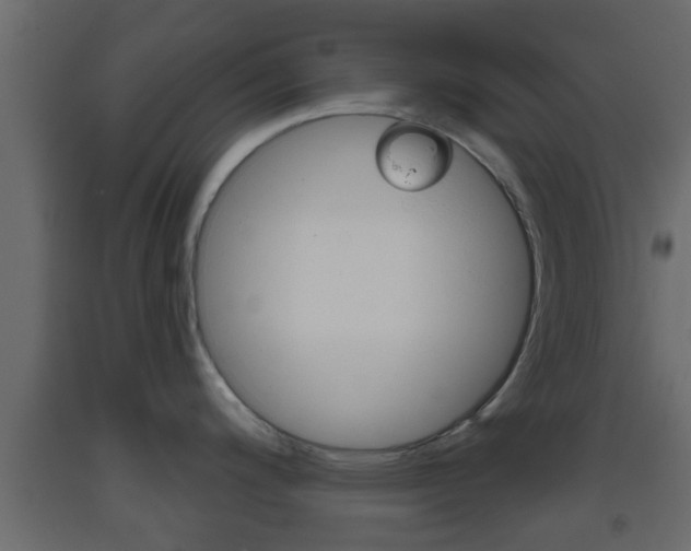 X0000093381200200710111341