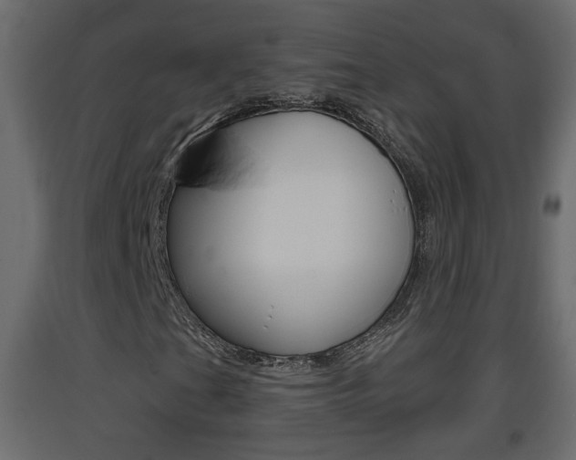 X0000093381201200710111340