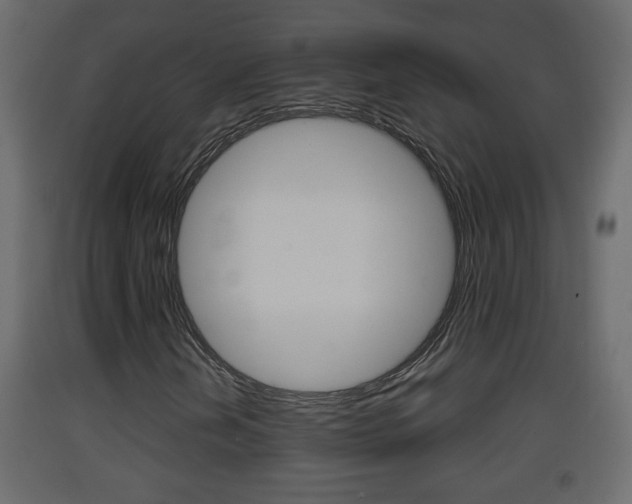 X0000093381202200710111340