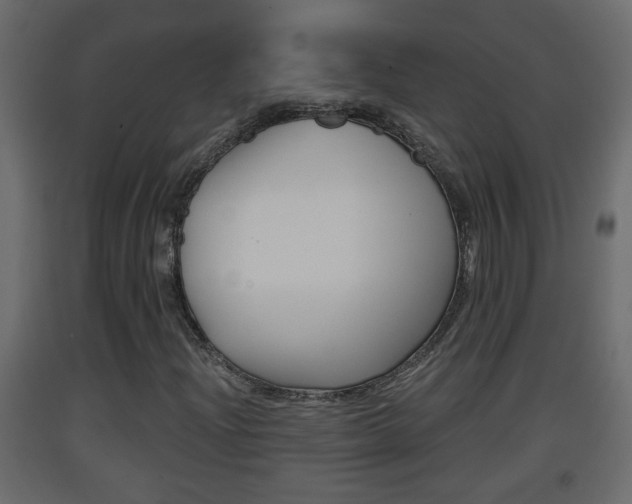 X0000093381204200710111340