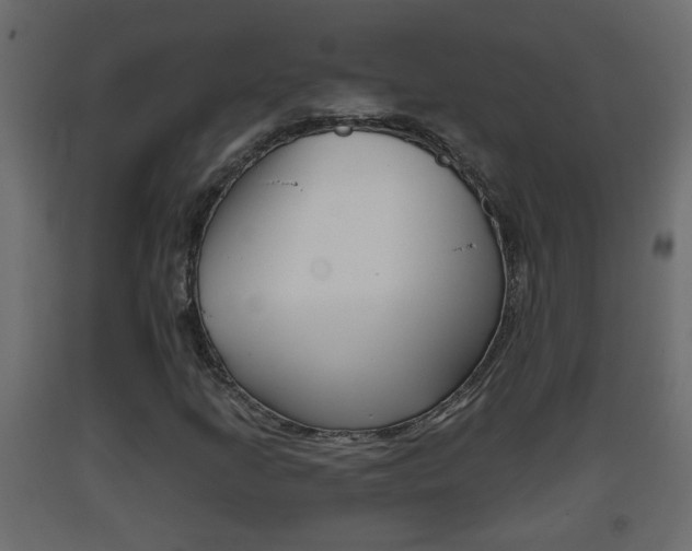 X0000093381205200710111341