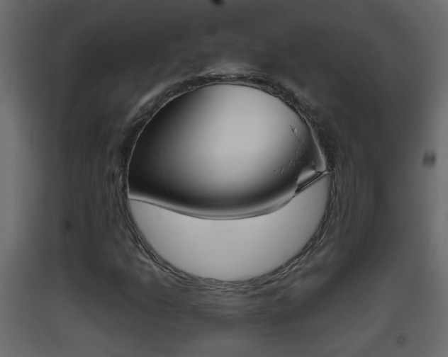 X0000093381206200710111341