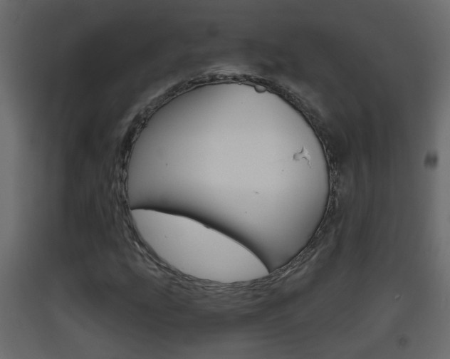 X0000093381207200710111341