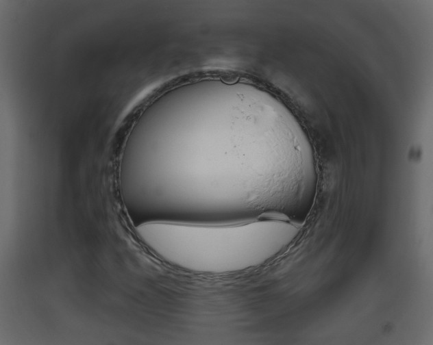 X0000093381208200710111341