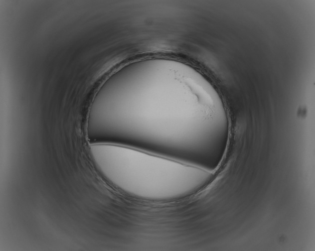 X0000093381209200710111341
