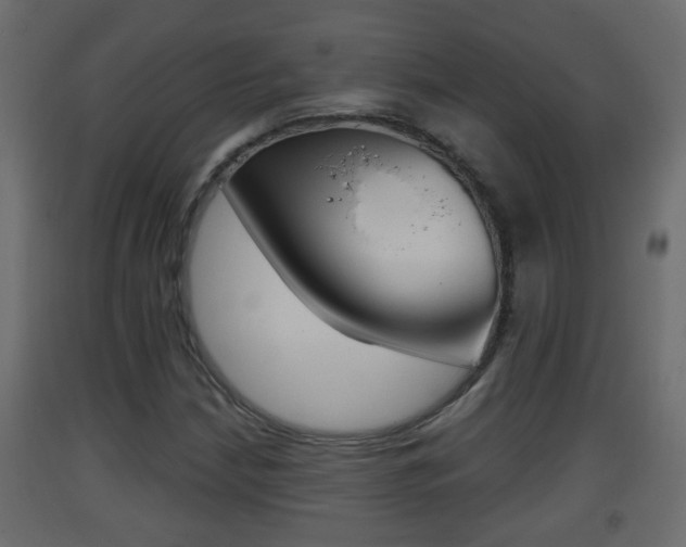 X0000093381210200710111341
