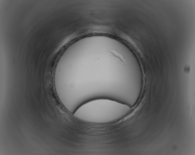 X0000093381211200710111341