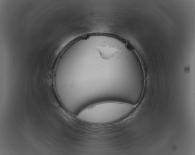 X0000093381212200710111341