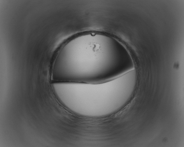 X0000093381214200710111341