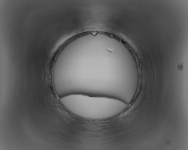 X0000093381215200710111341