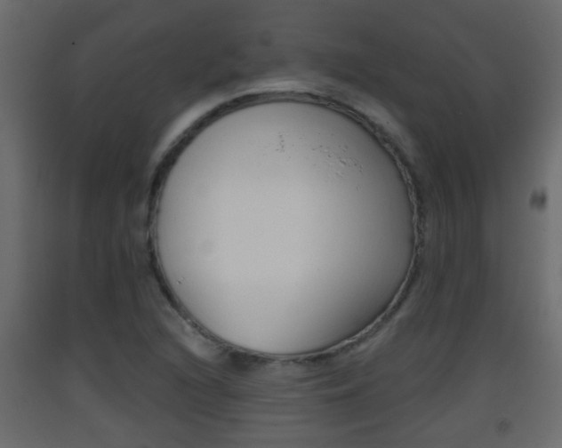 X0000093381216200710111341