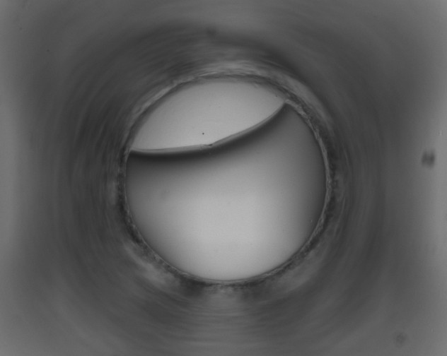X0000093381217200710111341