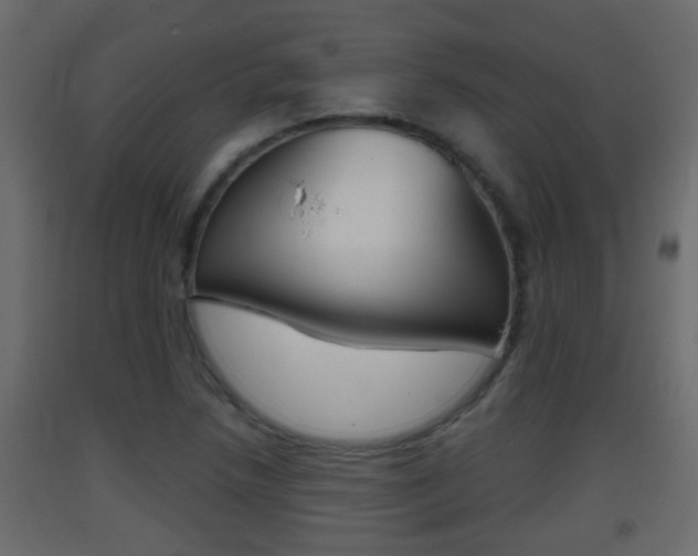 X0000093381218200710111341
