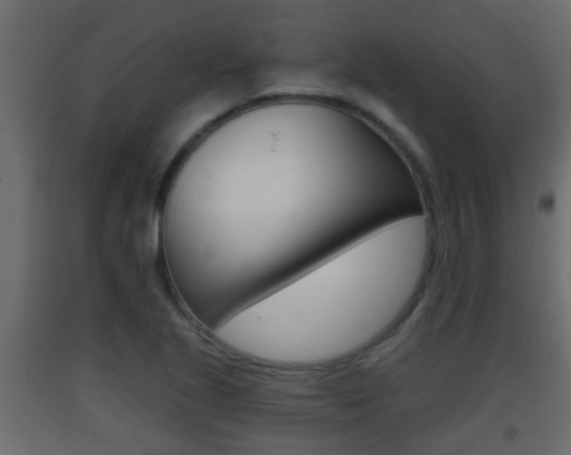 X0000093381221200710111341