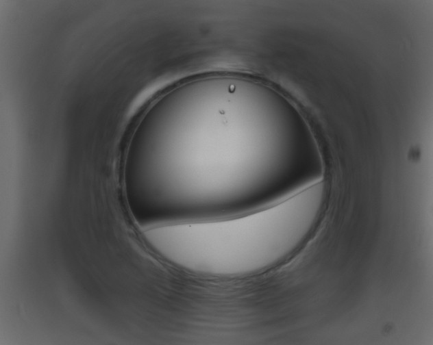 X0000093381222200710111341
